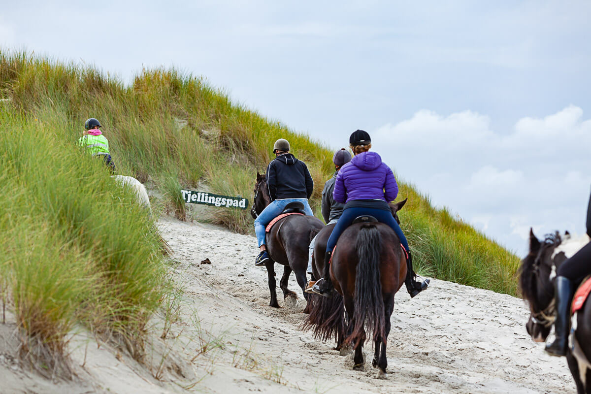 Ruiter op het strand 2