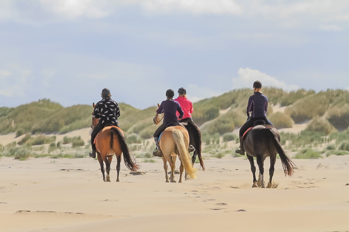Ruiter op het strand 1